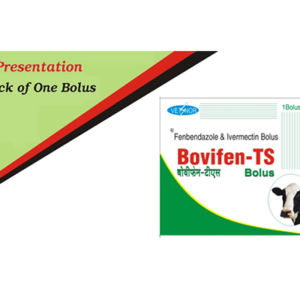 Bovifen-TS-Bolus