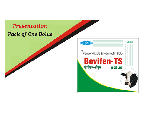 Bovifen-TS-Bolus