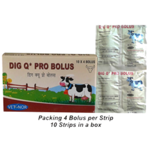 DIG Q PRO* BOLUS