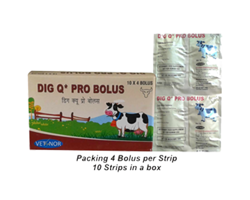 DIG Q PRO* BOLUS