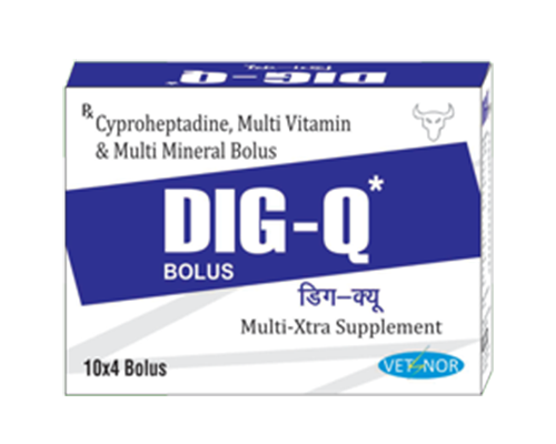 DIG-Q  Multi- Xtra supplement