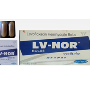 LV-NOR Bolus