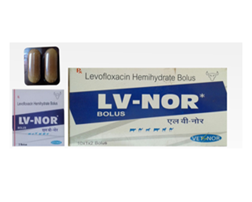 LV-NOR Bolus
