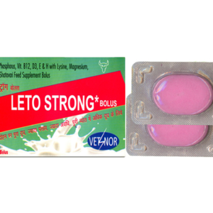 LETO STRONG * Bolus