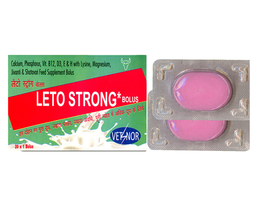 LETO STRONG * Bolus