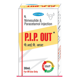 P.I.P. OUTinj -Power Always Works