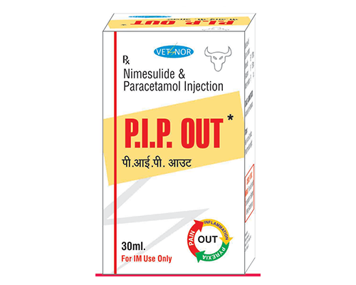 P.I.P. OUTinj -Power Always Works